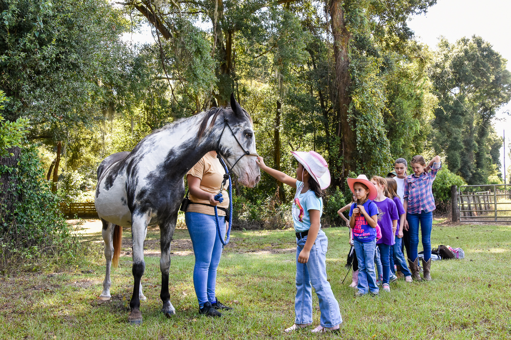 How to Hold a TS Was a GS Troop Meeting — A Tampa Lifestyle, Travel & Green  Living Blog – Back to Calley