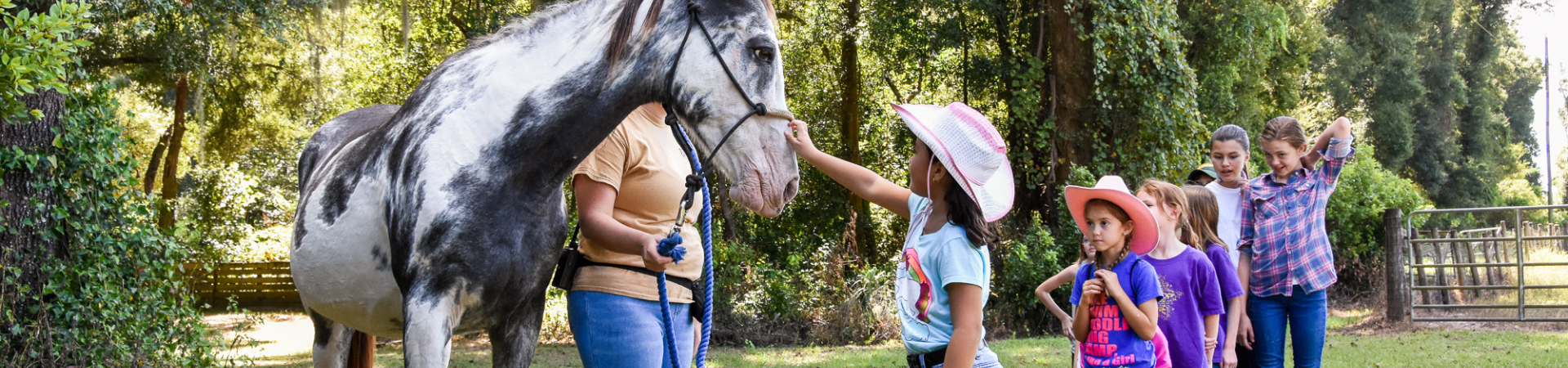  Group of Junior Girl Scouts smiling and laughing outdoors 